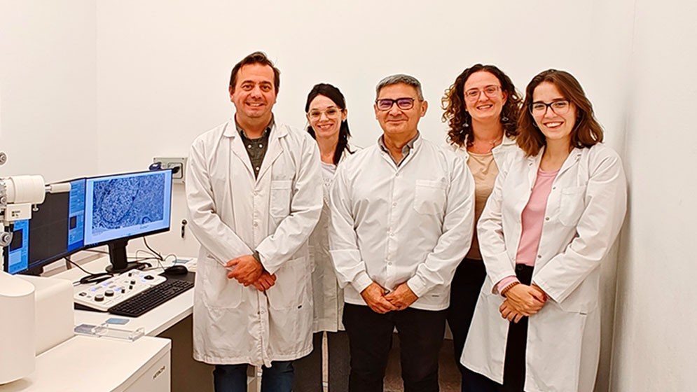 Descubren un nuevo blanco terapéutico para frenar el crecimiento de tumores intracraneales