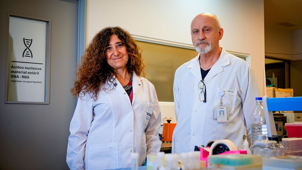Identifican un biomarcador de riesgo sistémico en pacientes con la forma más frecuente de enfermedad hepática