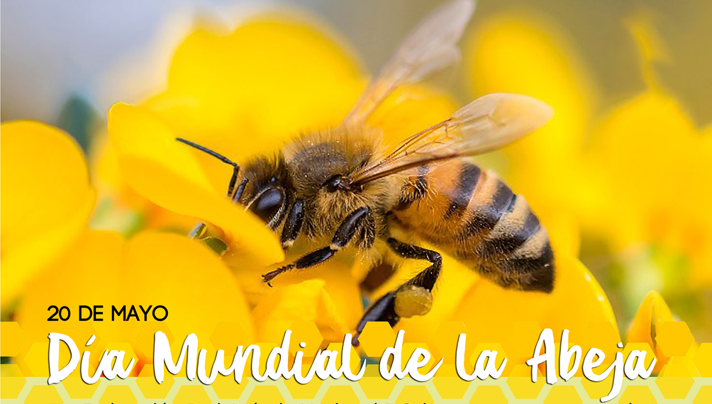 Efemérides del 20 de mayo