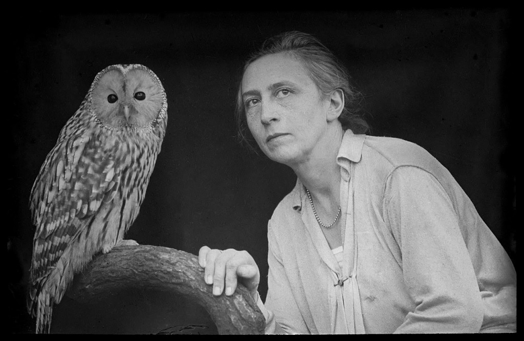  Magdalena Heinroth, la ornitóloga que crio más de mil aves en su casa para estudiarlas