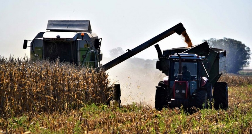 Alerta en el campo: productores al borde de la crisis y cerealeras frenan la liquidación