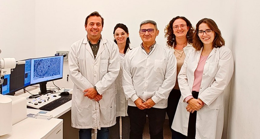 Descubren un nuevo blanco terapéutico para frenar el crecimiento de tumores intracraneales