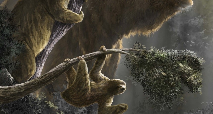 Un exhaustivo estudio sobre los perezosos gigantes realizado por científicos del CONICET llegó a la revista Science