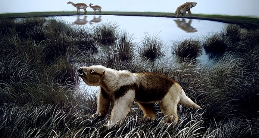 Demuestran que el drástico enfriamiento que experimentó la Tierra hace 34 millones de años no afectó la supervivencia de los mamíferos sudamericanos
