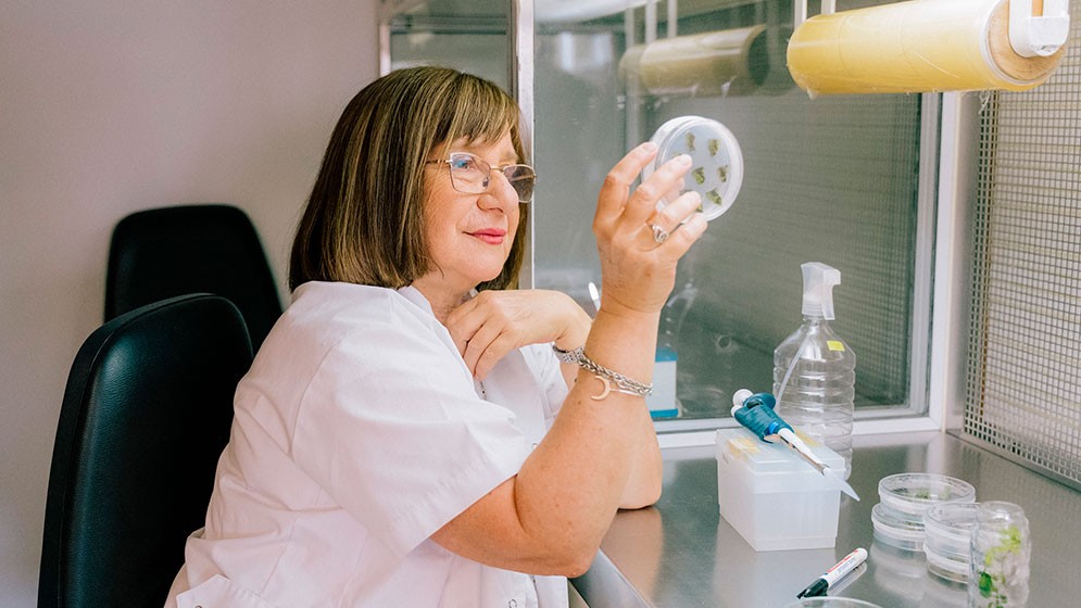 Especialista en agrobiotecnolog&iacute;a del CONICET: ganadora del Premio Internacional L&rsquo;Or&eacute;al-UNESCO &ldquo;Por las Mujeres en la Ciencia&rdquo;