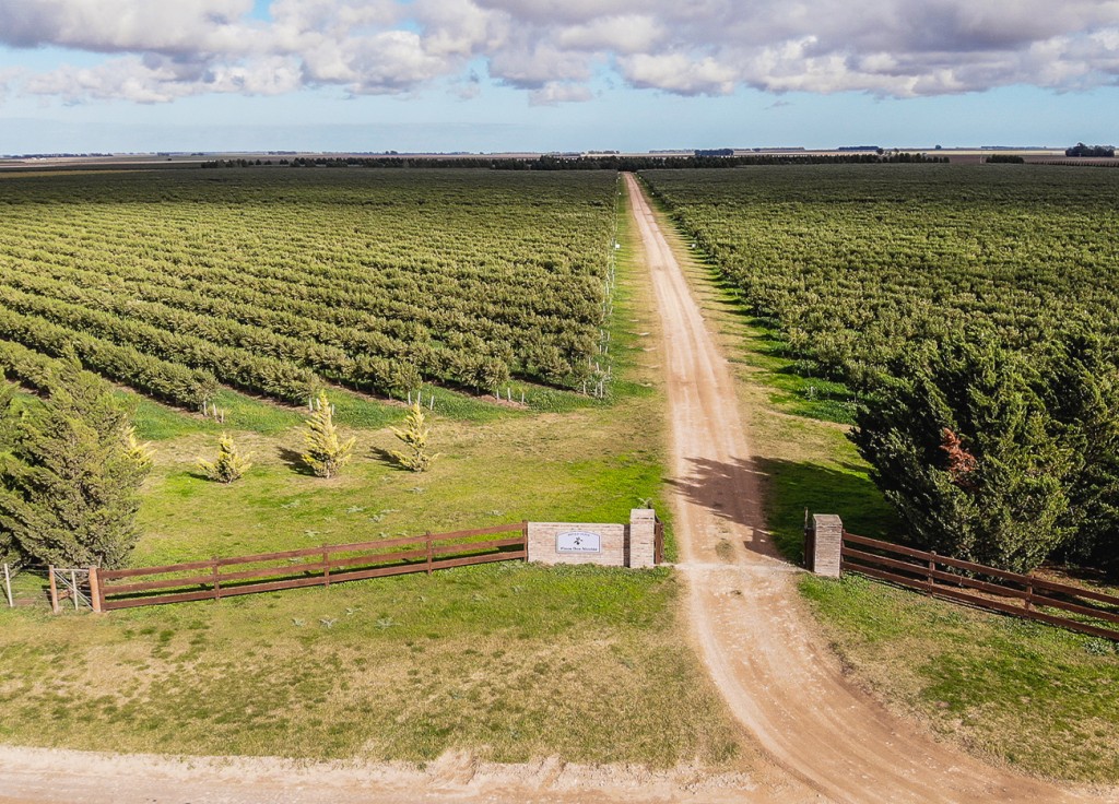 Entre olivares y sierras: la escapada oto&ntilde;al que conquista en Buenos Aires