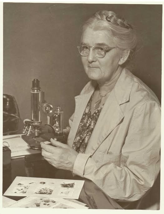 Jean Broadhurst, la bacteri&oacute;loga que impidi&oacute; al virus del sarampi&oacute;n seguir jugando al escondite