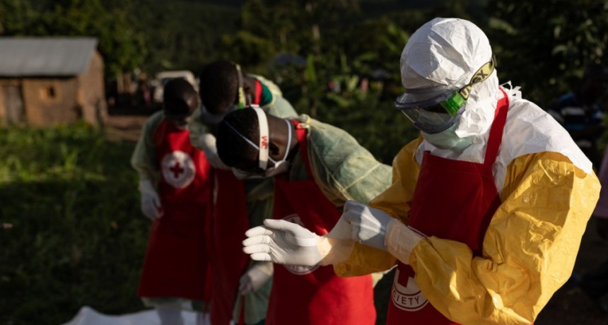 Alerta mundial por una cepa mortal del &eacute;bola: qu&eacute; pidi&oacute; la OMS tras declarar la emergencia sanitaria