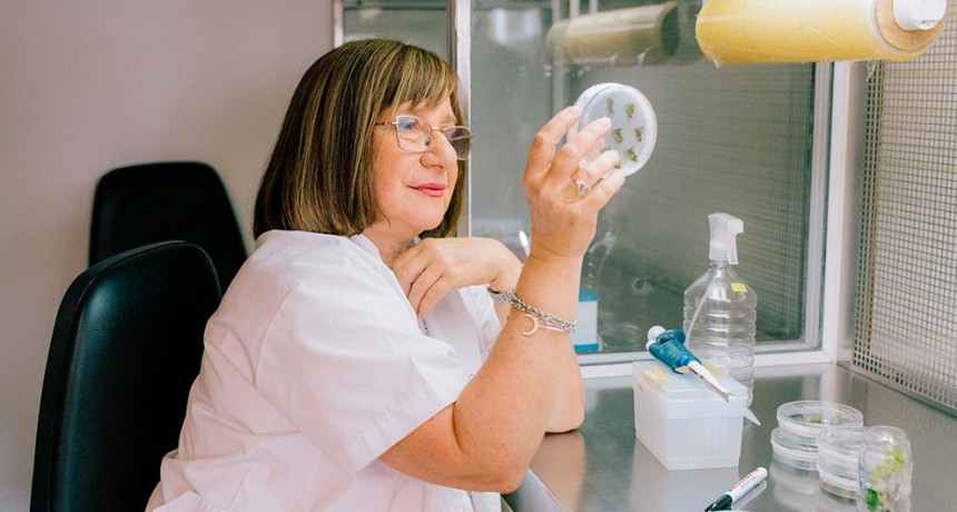 Especialista en agrobiotecnolog&iacute;a del CONICET: ganadora del Premio Internacional L&rsquo;Or&eacute;al-UNESCO &ldquo;Por las Mujeres en la Ciencia&rdquo;