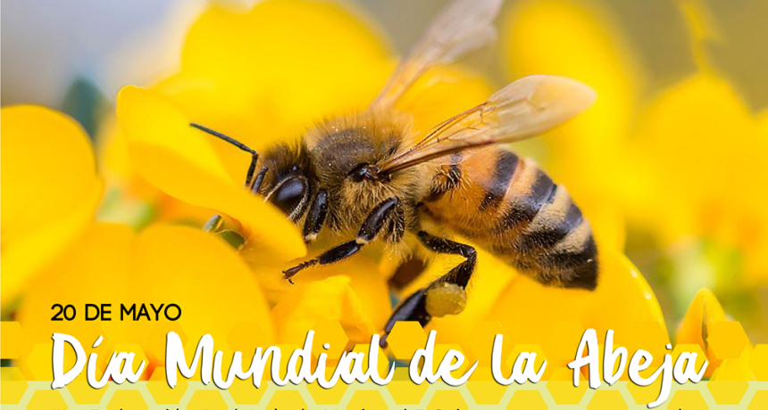 Efem&eacute;rides del 20 de mayo