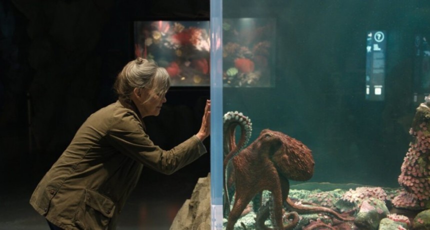 &ldquo;Criaturas luminosas&rdquo;: el emotivo drama de Netflix que conquist&oacute; el Top 10 esta semana