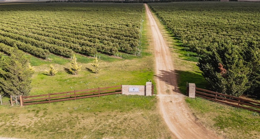 Entre olivares y sierras: la escapada oto&ntilde;al que conquista en Buenos Aires