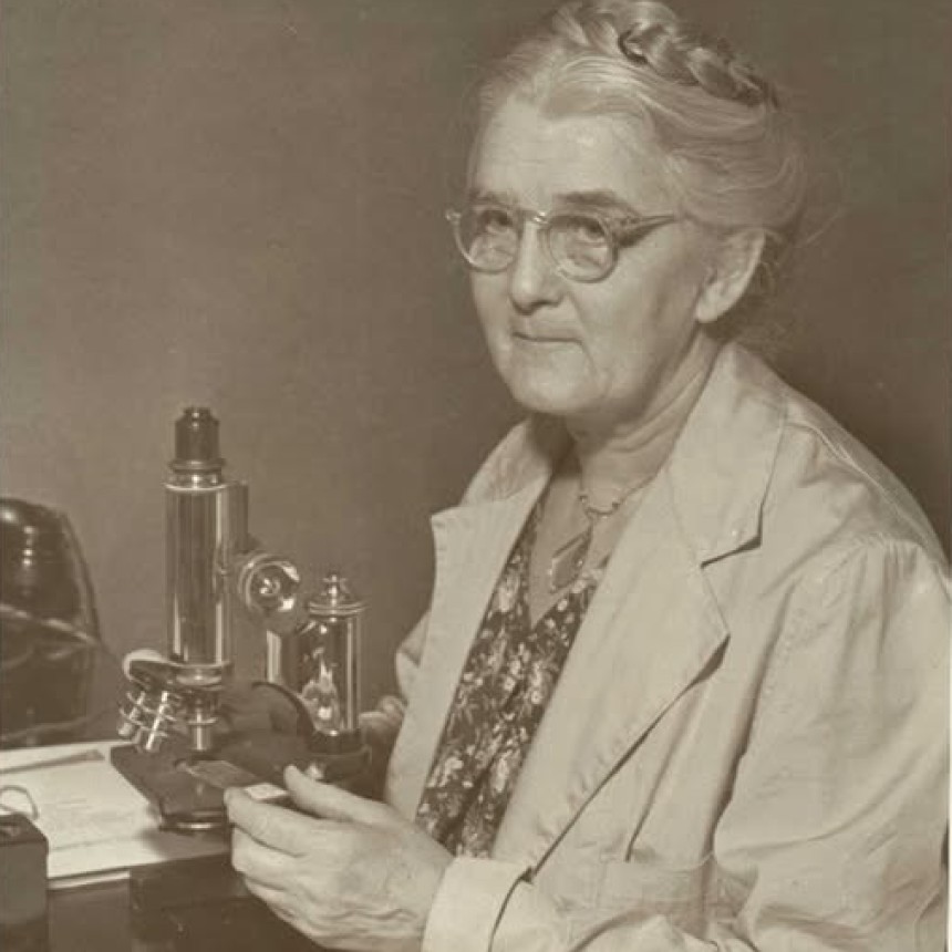  Jean Broadhurst, la bacteri&oacute;loga que impidi&oacute; al virus del sarampi&oacute;n seguir jugando al escondite