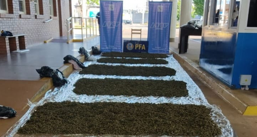 La Policía Federal junto con la Dirección General de Aduanas incautó más de 76 kilogramos de cogollos de marihuana y detuvo a una persona
