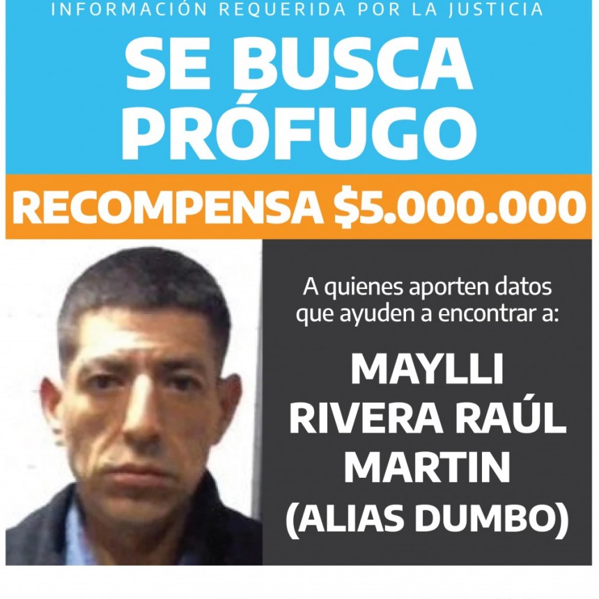 Ofrecen recompensa para lograr atrapar a "Dumbo"
