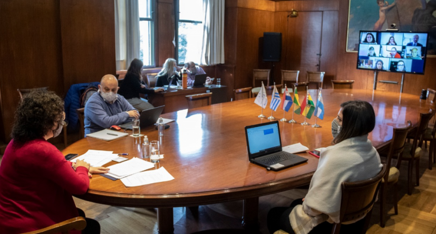 Carla Vizzotti encabezó encuentro de MERCOSUR para abordar la problemática de la resistencia a los antibióticos