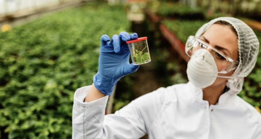 El proyecto de Ley de Nanobiotecnología obtuvo dictamen en Diputados