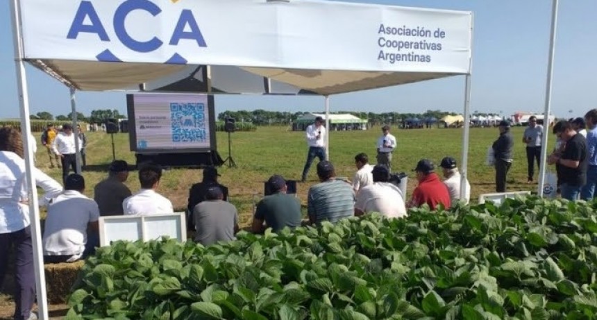 ¿Quién es ACA? La gigante cooperativa de segundo grado que nuclea a más de 50 mil productores a lo ancho y largo del país