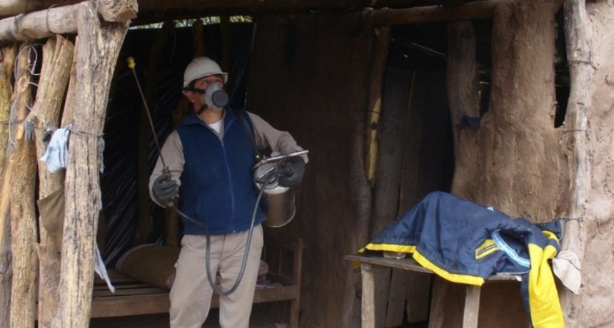 Logran interrumpir la transmisión humana de la enfermedad de Chagas en un municipio chaqueño