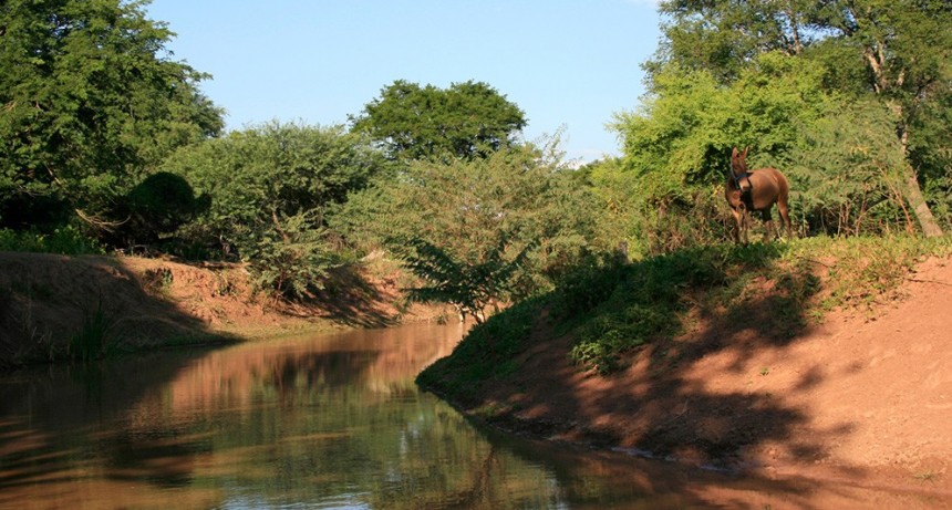 Nuevo estudio muestra que la tenencia segura de tierras indígenas ayuda a reducir la pérdida de bosques