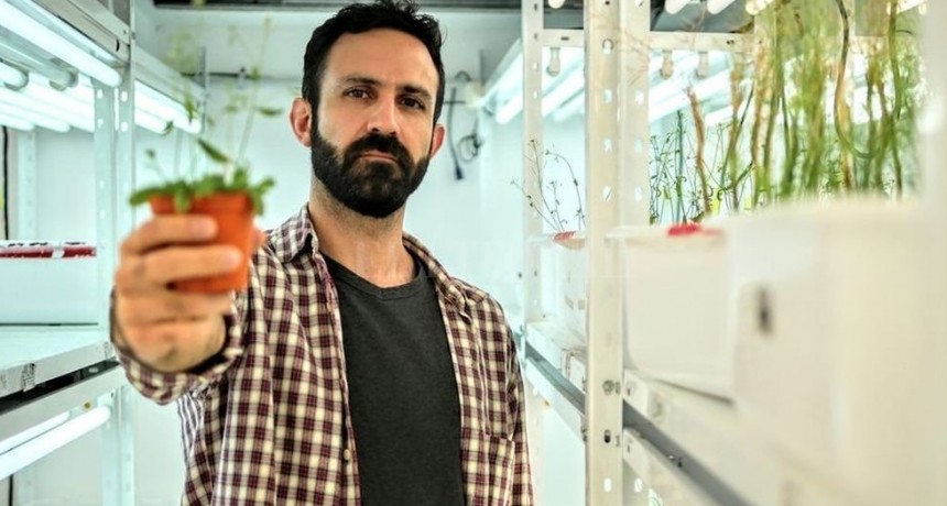 Investigador del CONICET ganó el UNESCO – Al-Fozan International Prize, premio dedicado a jóvenes investigadores/as