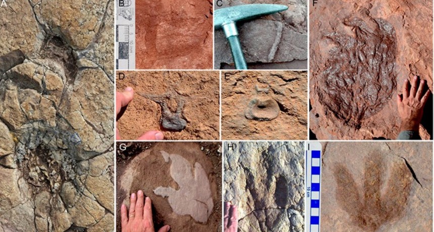 En Malargüe, Mendoza abrió sus puertas el primer parque Cretácico Municipal “Huellas de Dinosaurios” de Argentina