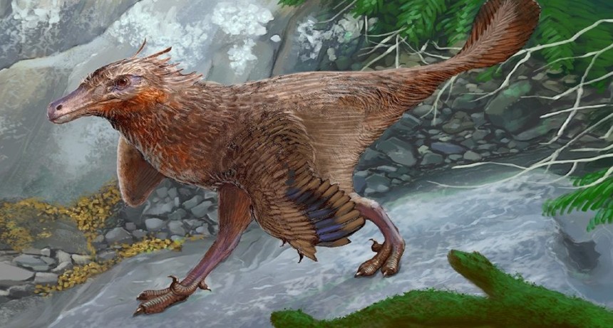 Descubren en Neuquén una nueva especie de dinosaurio carnívoro que vivió hace aproximadamente 83 millones de años