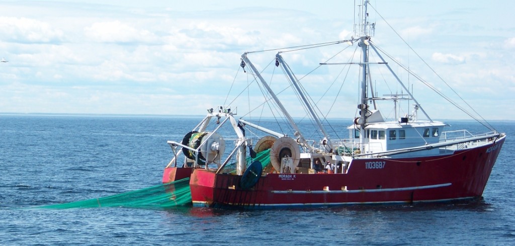 Crisis en la pesca: importaciones y presión salarial amenazan 20.000 empleos en el sector