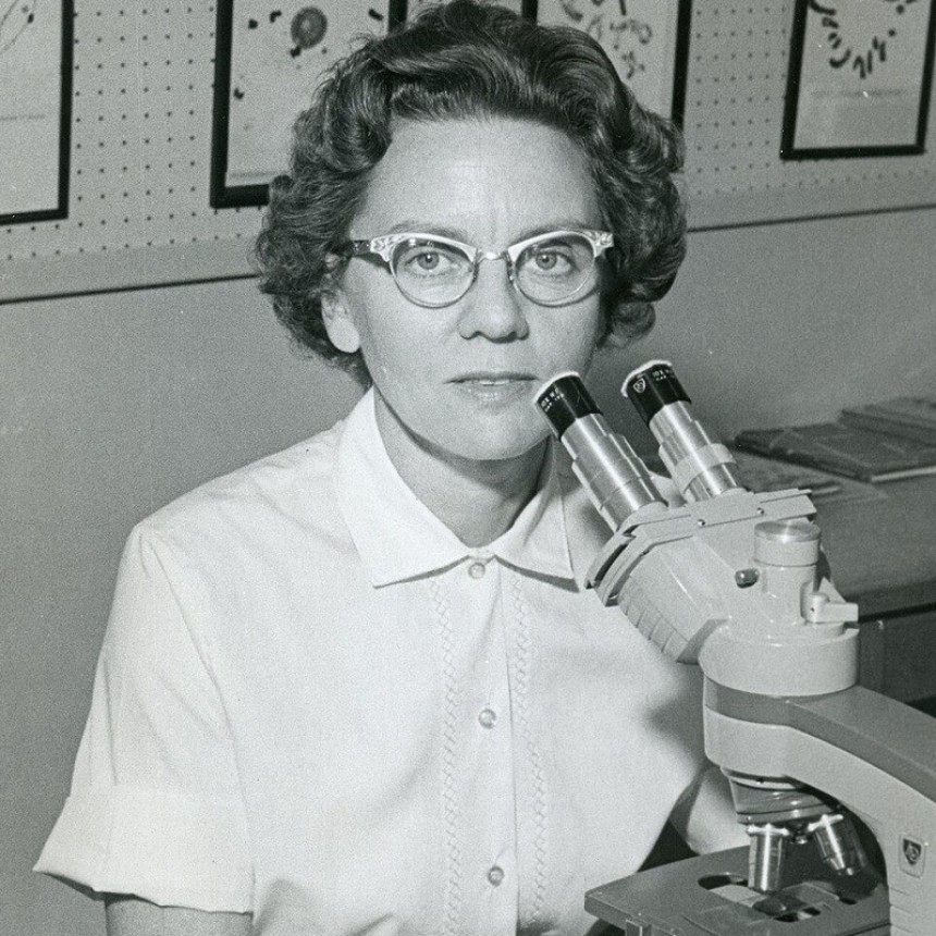  Mary Rosalind Morris, la genetista que sustituía cromosomas en el trigo para ver qué cambiaba