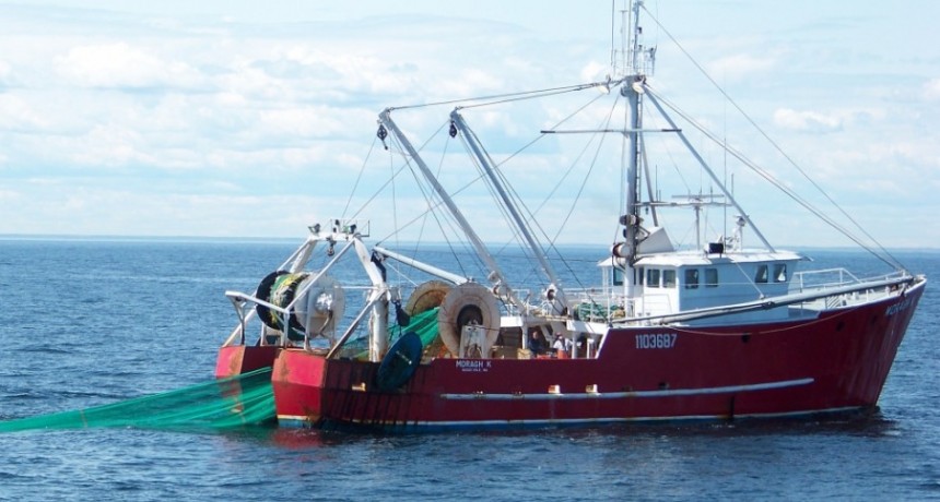 Crisis en la pesca: importaciones y presión salarial amenazan 20.000 empleos en el sector