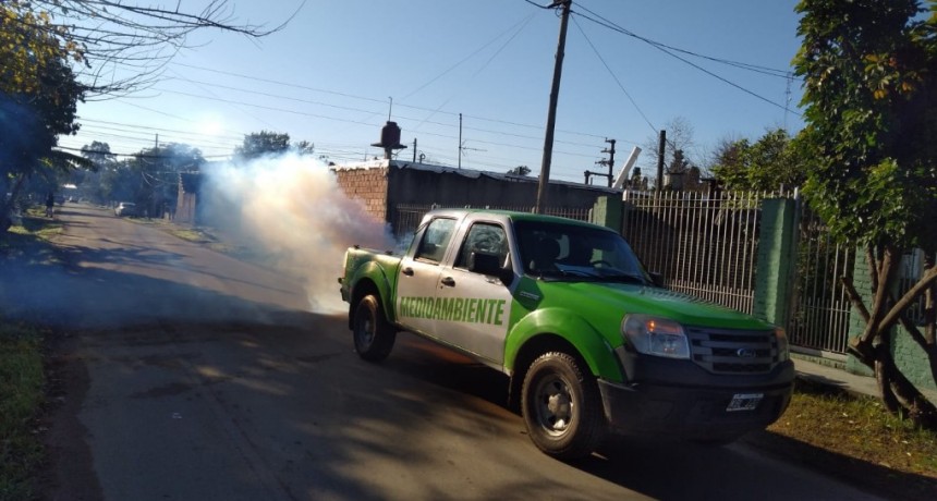 Esteban Echeverría intensifica la fumigación para combatir el dengue