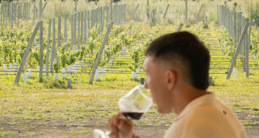 Enoturismo y oleoturismo: los eventos de junio para descubrir los sabores bonaerenses