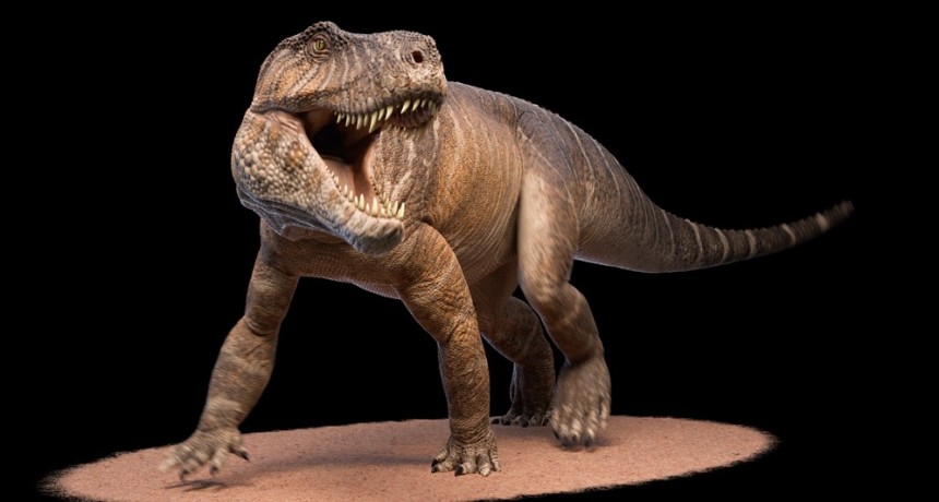 Descubren un gigantesco pariente lejano de los cocodrilos que vivi&oacute; hace 237 millones de a&ntilde;os