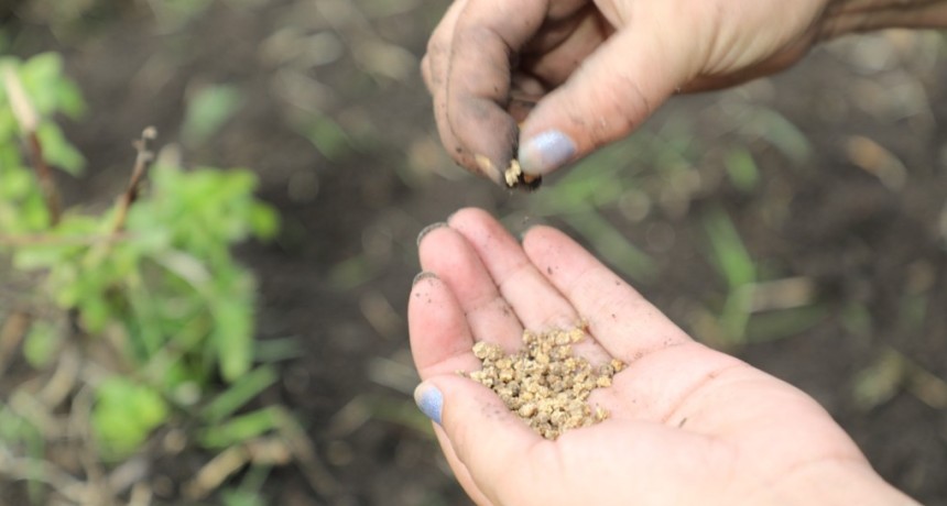 La Matanza entrega semillas gratuitas para impulsar nuevas huertas agroecol&oacute;gicas