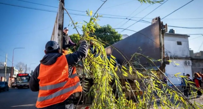 Quilmes intensific&oacute; la poda correctiva y ya intervino m&aacute;s de 470 cuadras en todo el distrito