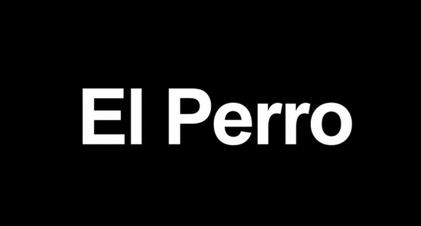 Un perro
