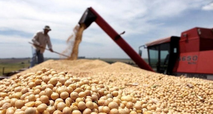 El Banco Central espera sumar unos US$ 2.500 millones con incentivos para la exportación de soja