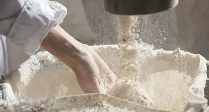 La molienda de trigo creció 5% en los primeros cinco meses del año