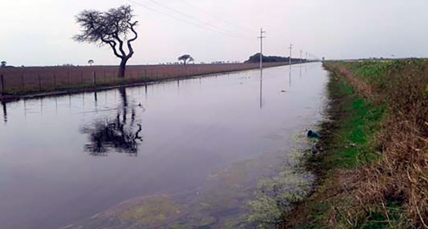 Nuevo estudio publicado en Science vincula el aumento de las inundaciones en la llanura argentina con los cambios en el uso de la tierra