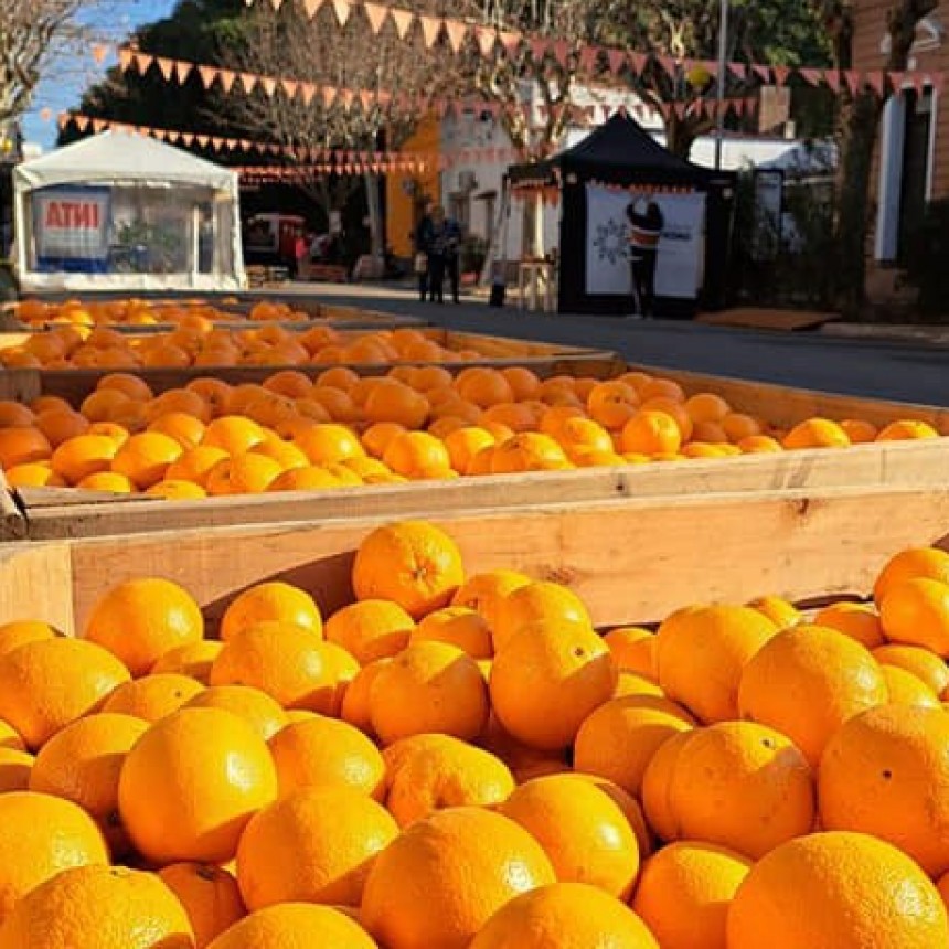 Fiesta de la naranja en San Pedro y fiesta del alfajor costero: el mejor plan para las vacaciones de invierno