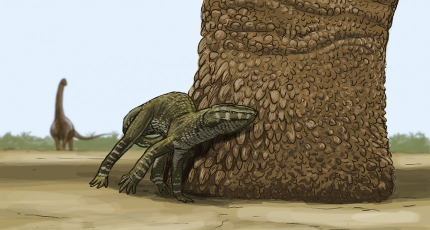 Descubren en Río Negro huellas de dinosaurios de 95 millones de años con marcas de piel y de garras
