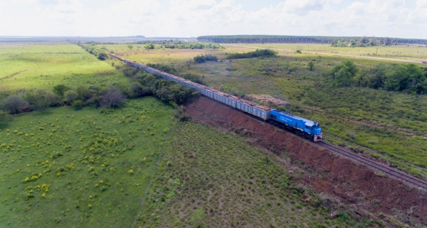 La carga ferroviario de la línea Urquiza recupera terreno a tres años del retorno a Misiones