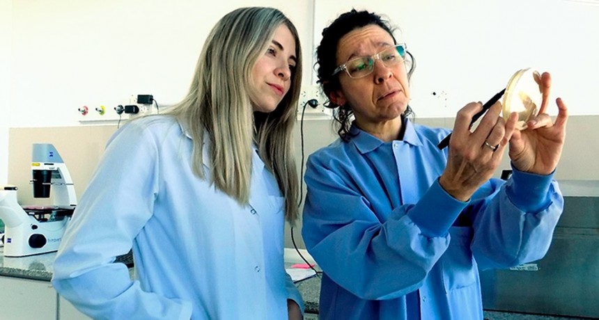 Desarrollan moléculas que combaten el virus de la influenza