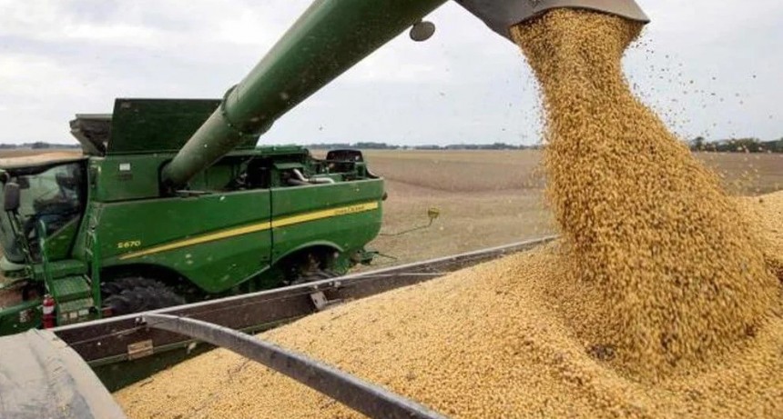 El desplome del precio de la soja, se encuentra en su menor valor en 5 años