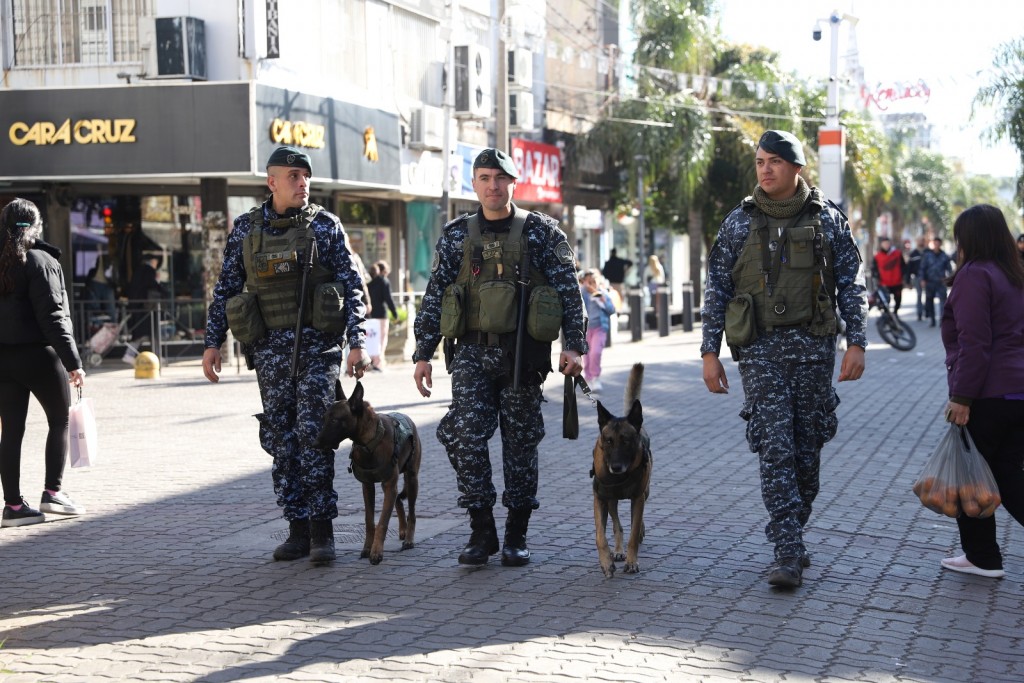 Cachorros en patrullaje: La Matanza entrena perros para reforzar la seguridad en escuelas y plazas