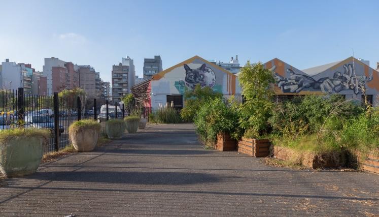 Una nueva plaza en Colegiales: convertirán una playa de estacionamiento en espacio verde junto al Mercado de Pulgas
