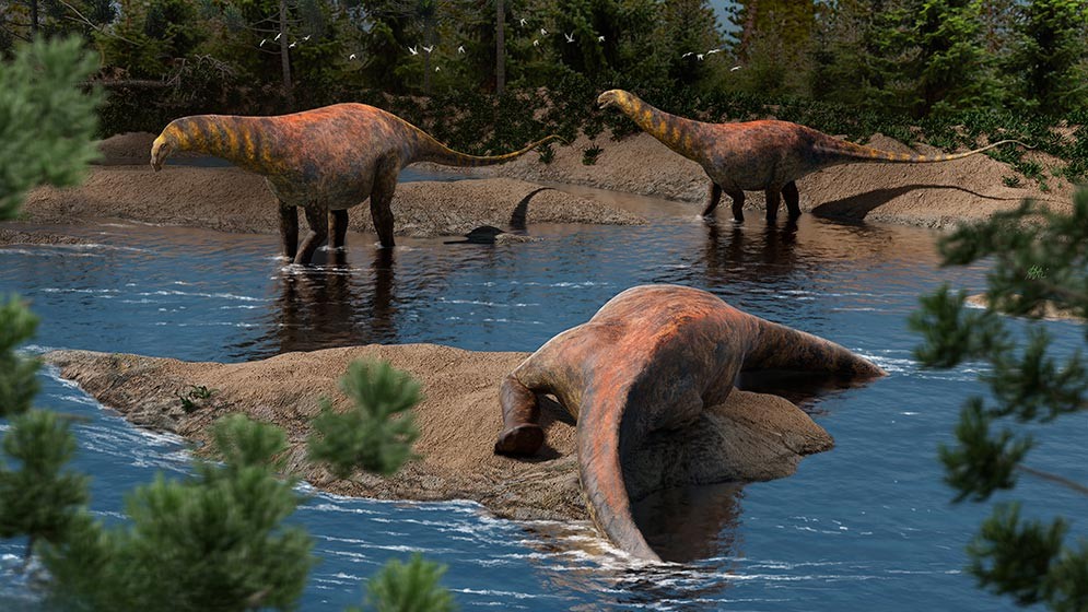 Descubren en Neuquén una nueva especie de dinosaurio saurópodo que vivió hace 95 millones de años