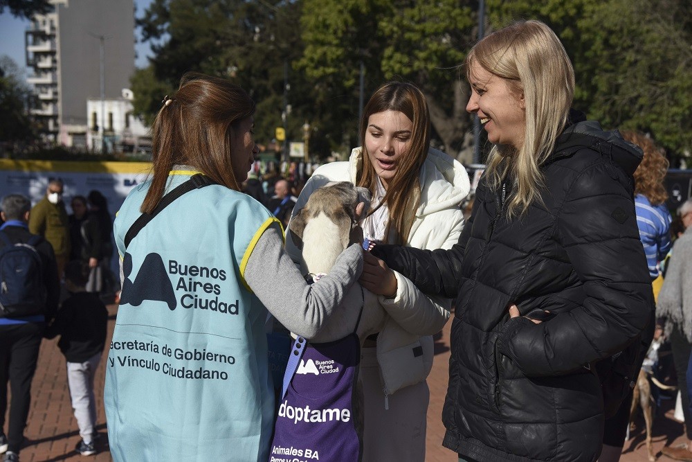 ¡Adoptá un amigo! Este sábado, Jornada de Adopción de Perros y Gatos en Versalles