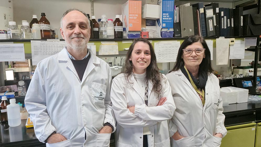 Identifican alteraciones moleculares que podrían asociarse con el daño cerebral en el Alzheimer