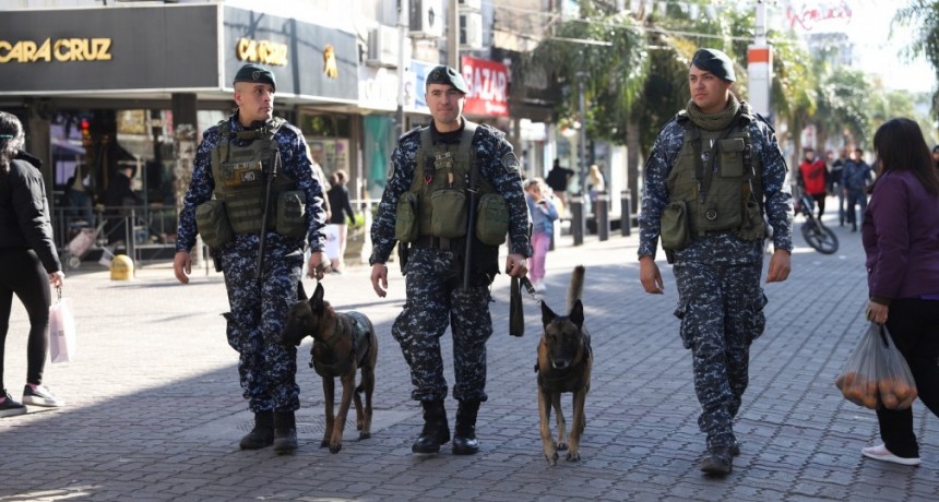 Cachorros en patrullaje: La Matanza entrena perros para reforzar la seguridad en escuelas y plazas